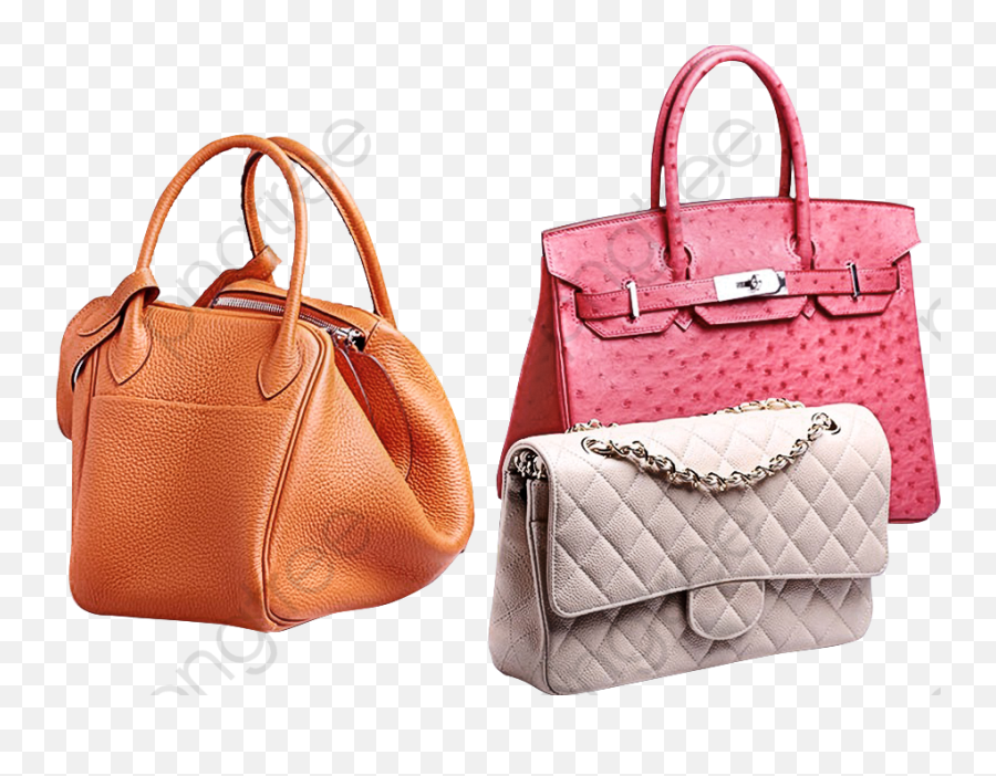 Handbag Ms Bag - Ladies Hand Bag Transparent Png,Purse Png