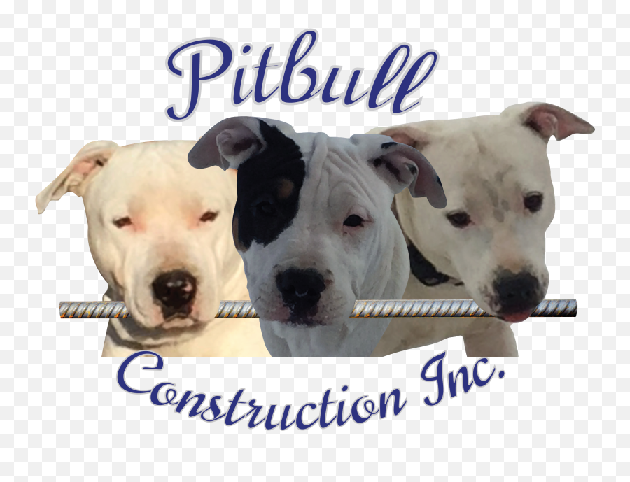 Pitbull Construction Inc - Collar Png,Pitbull Logo
