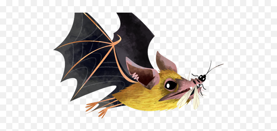 Amid Covid - 19 Letu0027s Not Forget How Bats Help Our Bat Eating Mosquito Clip Art Png,Bat Wing Png
