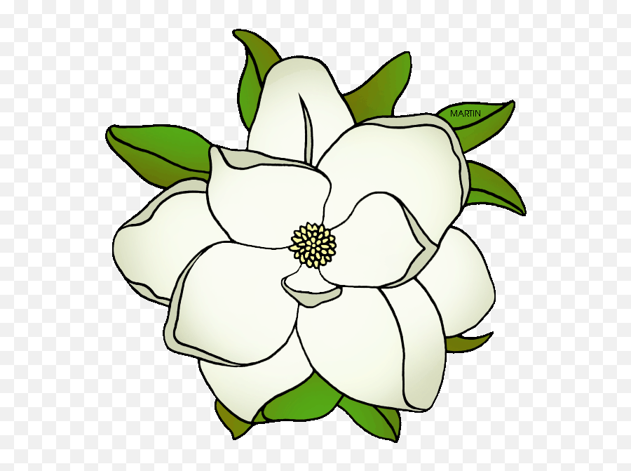 State Flower Of Mississippi - Magnolia Flower Clip Art Png,Magnolia Png