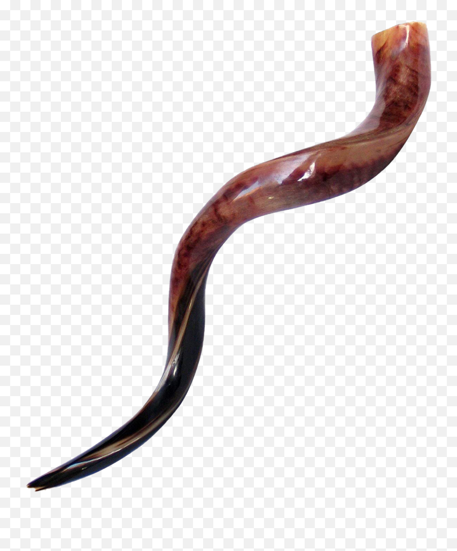 Shofar Horn Png Clipart - Transparent Shofar Clipart,Horn Png