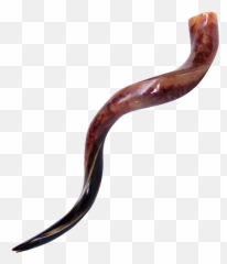 Shofar Horn Png Clipart - Transparent