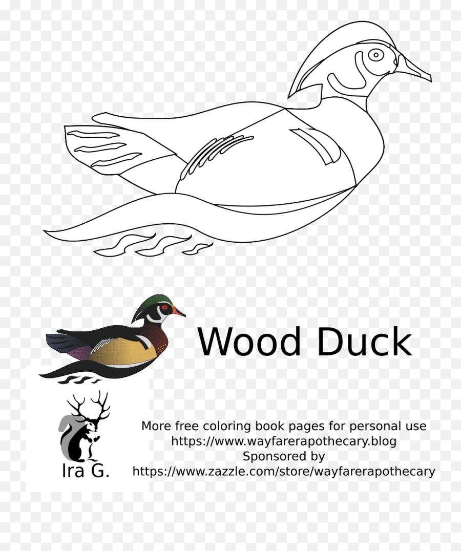 Coloring Excelent Duck Sheet Donald - Fox Jumps Over The Lazy Png,Coloring Pages Png