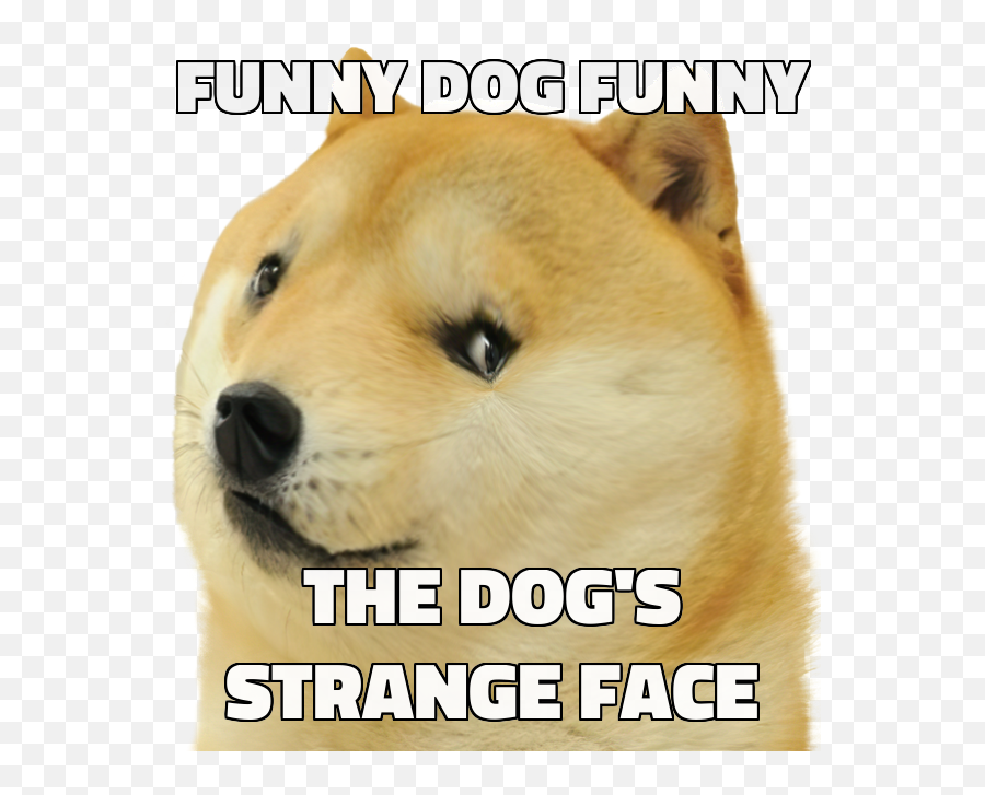 Le - Funny Doge Face Png,Doge Face Png