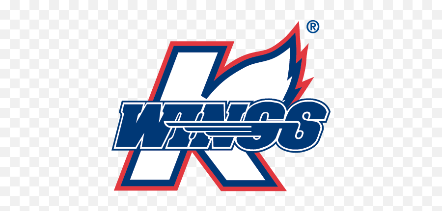 K - Kalamazoo Wings Hockey Logo Png,Guinness World Records Logo