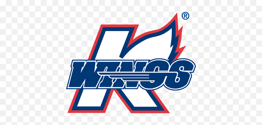 K - Kalamazoo Wings Hockey Logo Png,Guinness World Records Logo - free ...