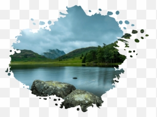 Simple And Respectful Cremation Service Neo Cremations - Tarn png