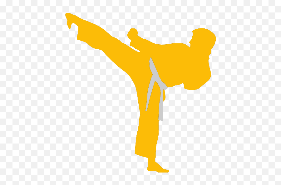 Adult U0026 Teen Programs - Lubbock Karate Karate Icon Png,Kickboxing Icon