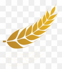 Pro Tenders Industry Classification U2013 Oman Flour Mills - Language png