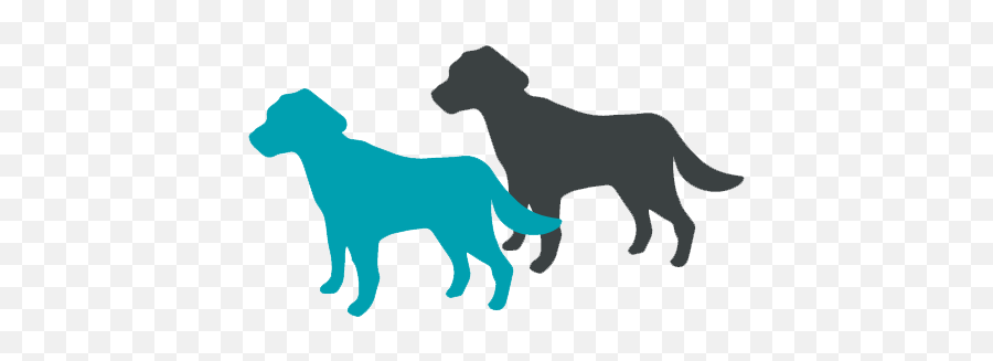 Family Raised Puppies - Companion Dog Png,Transparent Puppy