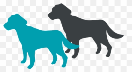 Family Raised Puppies - Companion Dog Png,Transparent Puppy