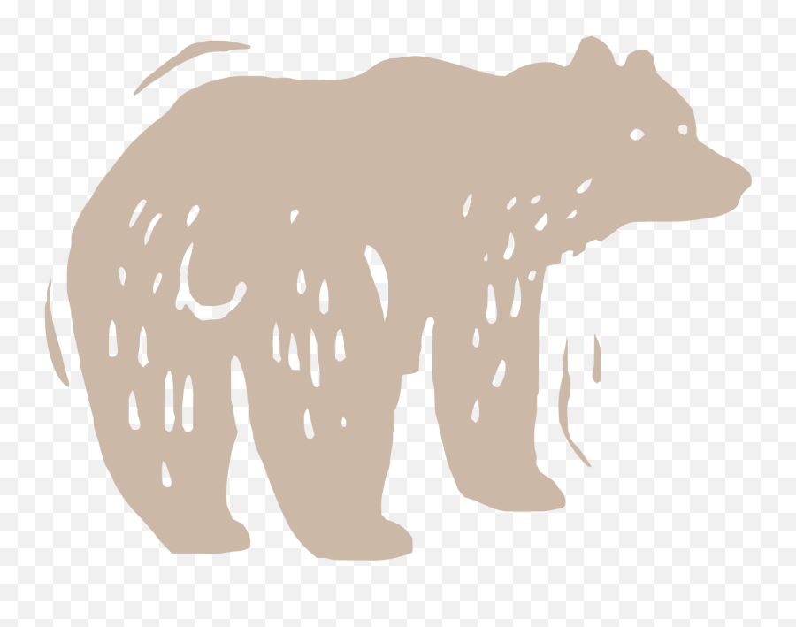 Grizzly Bears - Cpaws Southern Alberta Animal Figure Png,Black Bear Icon