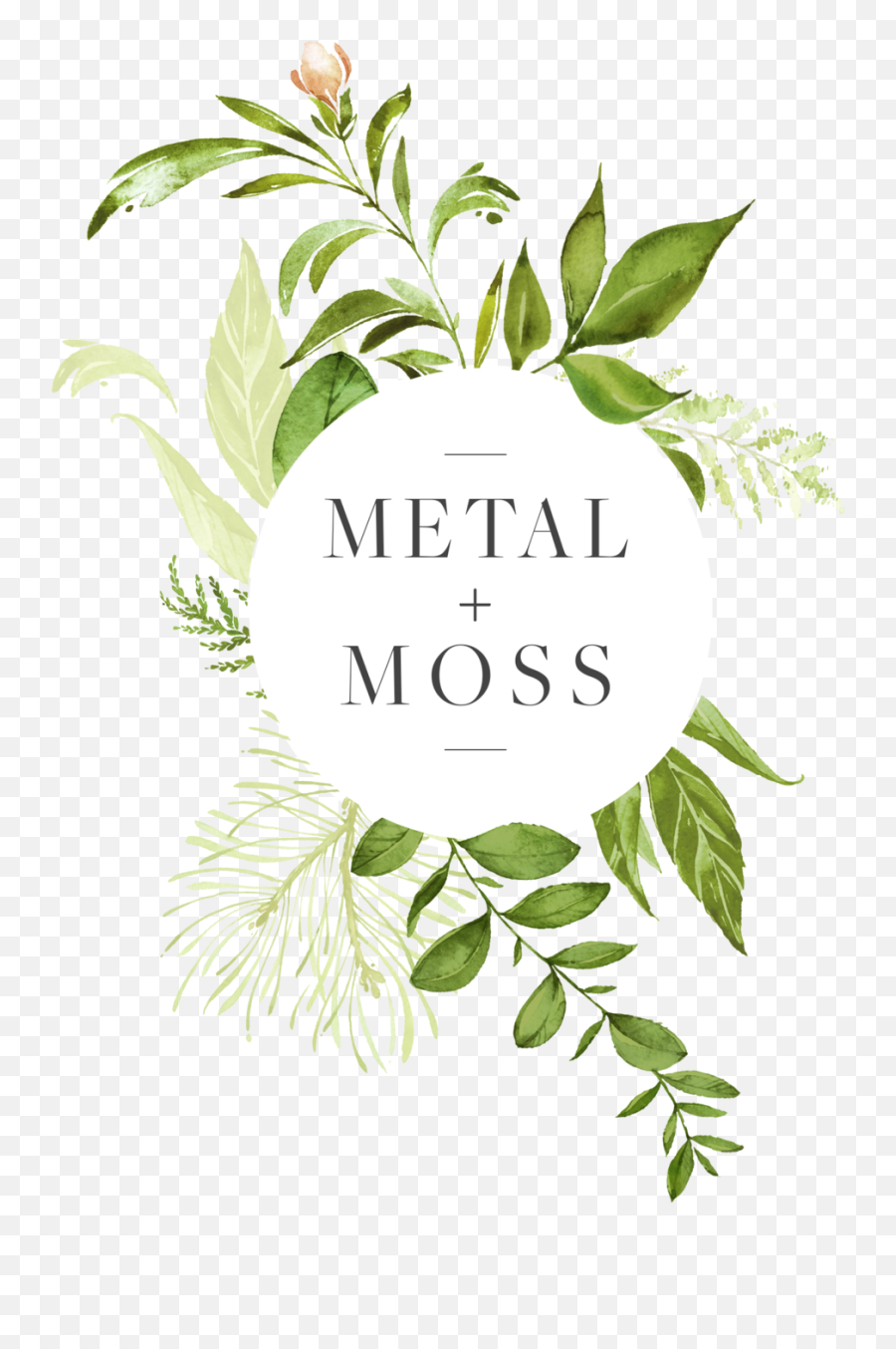 Download Hanging Moss Png - Full Size Png Image Pngkit Western Yew,Moss Png