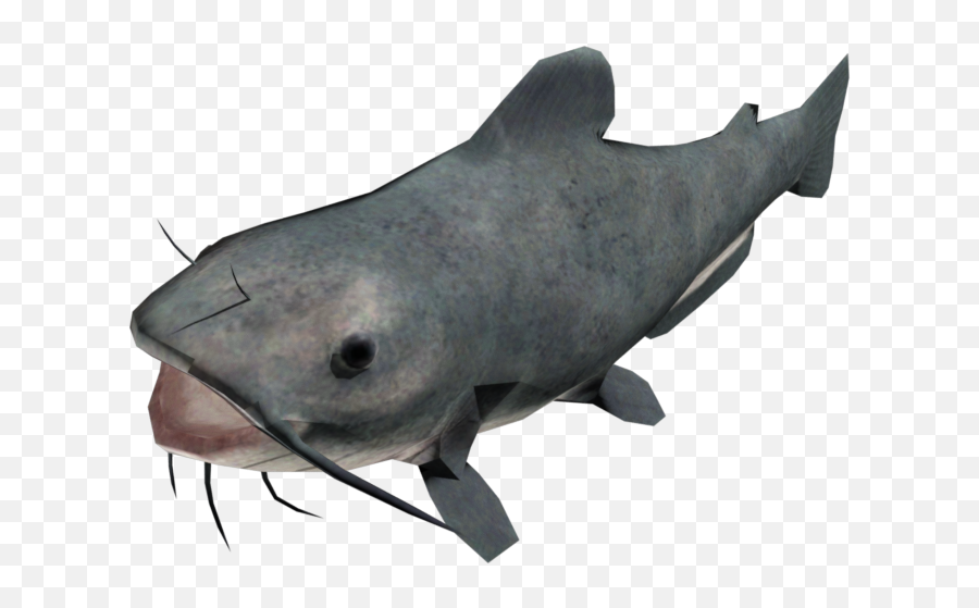 Pc Computer - Duke Nukem Forever Catfish The Models Cat Fish Png,Catfish Png