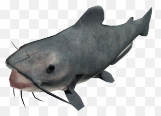 Pc Computer - Duke Nukem Forever Catfish The Models Cat Fish Png,Catfish Png