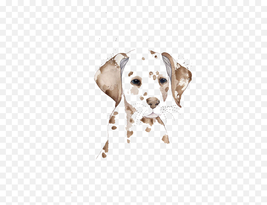 Dalmatian Dog Watercolor Painting - Dogs To Water Watercolor Png,Transparent Dog Filter