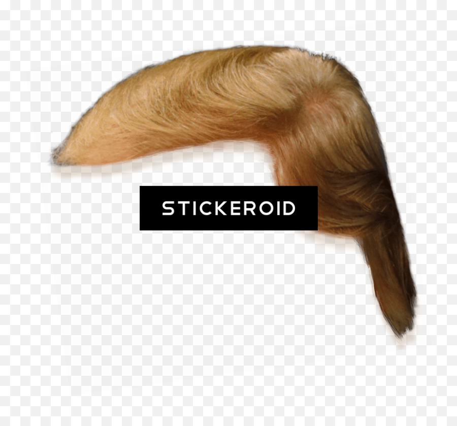 Download Donald Trump Hair Side View - Lace Wig Png,Donald Trump Hair Png