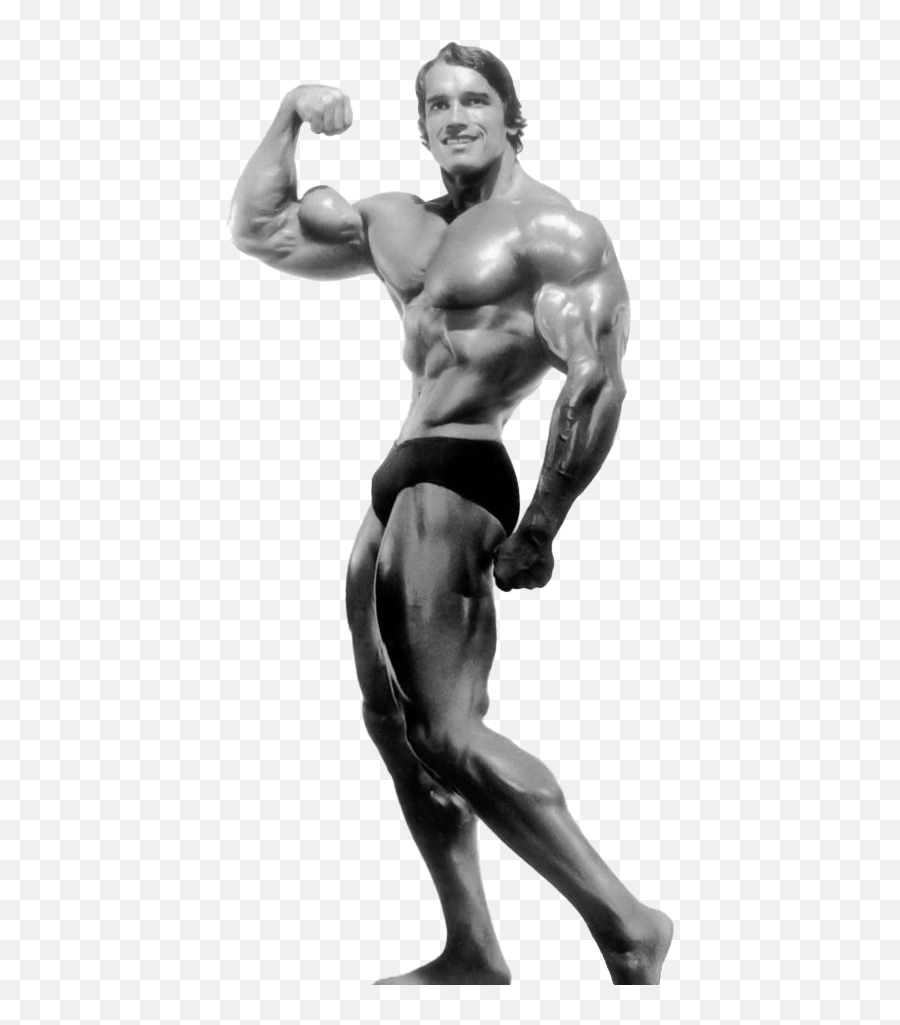Arnold Schwarzenegger Bodybuilding - Transparent Arnold Schwarzenegger Png,Arnold Schwarzenegger Transparent