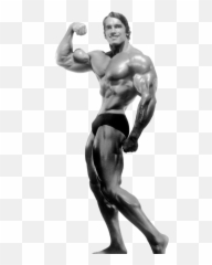Arnold Schwarzenegger Bodybuilding - Transparent Png