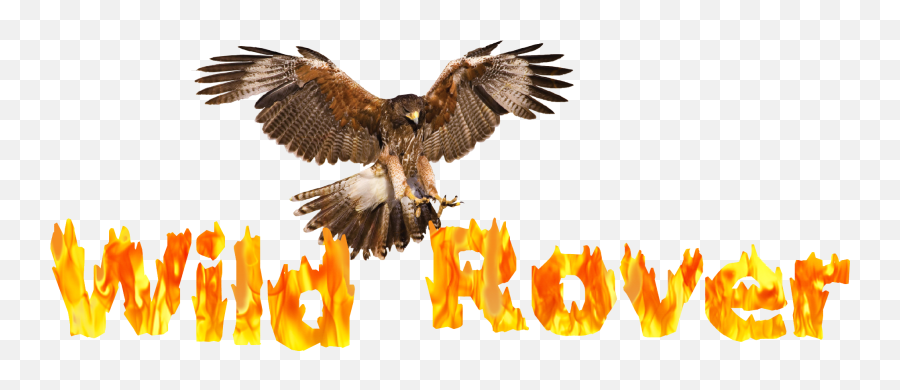 Cropped - Wildroverlogopng Hawk,Rover Logo