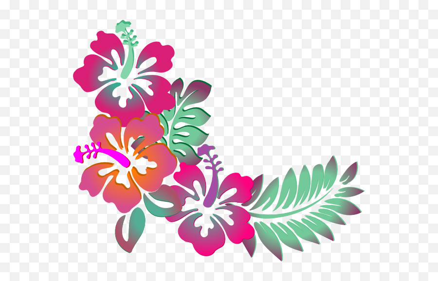 Drawing Hibiscus Transparent U0026 Png Clipart Free Download - Ywd Clip Art Hibiscus,Hibiscus Flower Png
