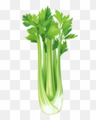 Celery Free Png Clip Art Image - Celery Clipart Png,Celery Png