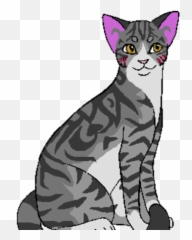 Mistheart Aquamarine1212 Warriors Fan Made Clans Wiki - Domestic Cat png