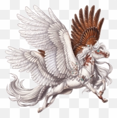 Download Hd Pegasus Png High - Pegasus Art,Pegasus Png