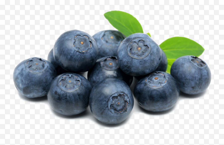 Spooner Farms Inc - Blueberries Clip Art Png,Berry Png