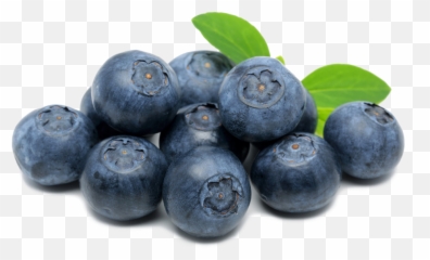 Spooner Farms Inc - Blueberries Clip Art Png,Berry Png