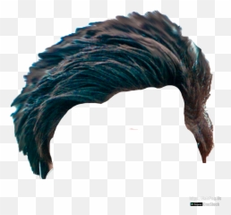Download Hair Png