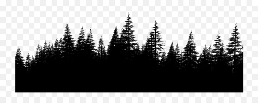 Forest Png Transparent Images - Pine Forest Png,Forest Tree Png