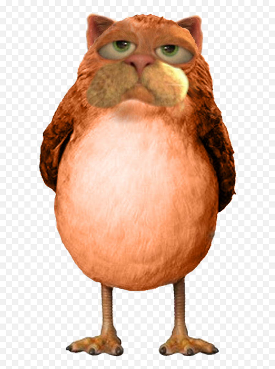 Lorax Png - Star Wars New Creature 4264498 Vippng Porg Transparent,Creature Png