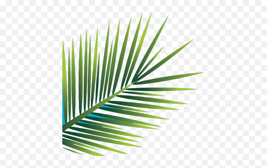 Palm - Vertical Png,Palm Leaf Transparent