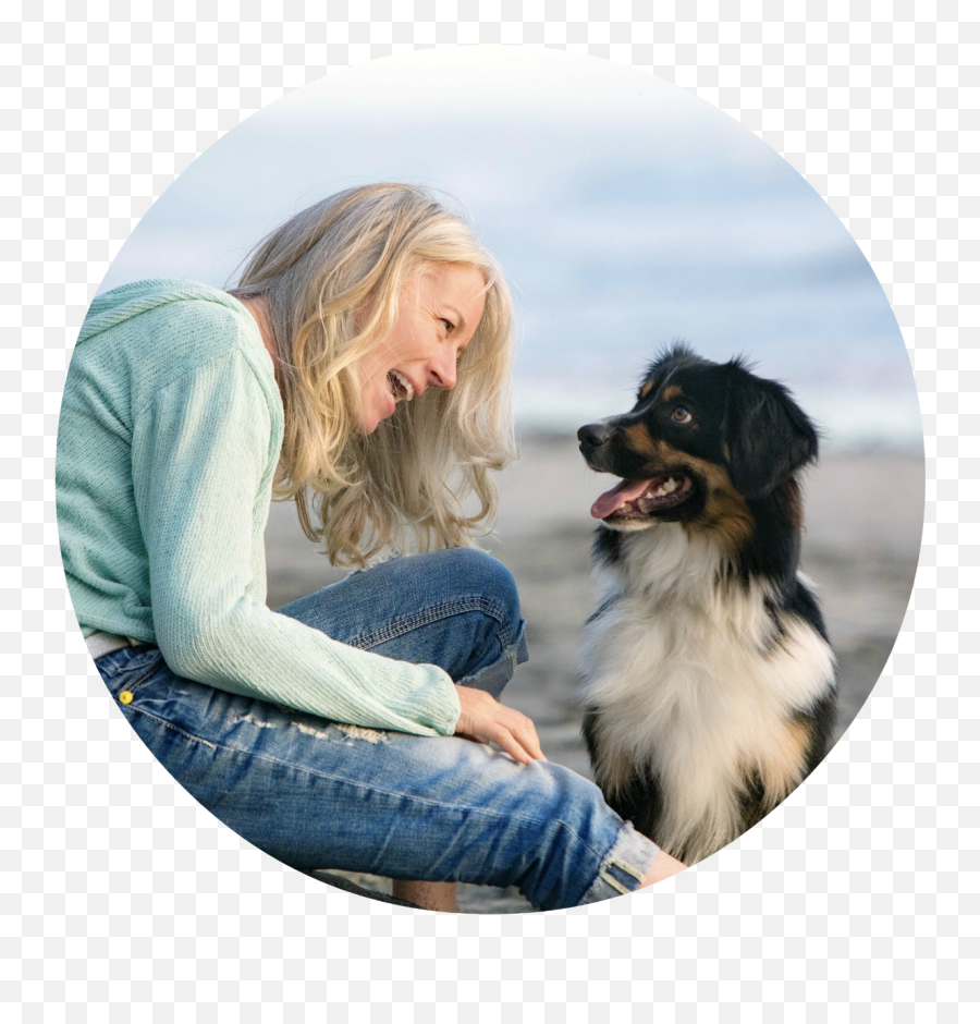Home - The Puppy Care Company Australian Shepherd Png,Dog Sitting Png