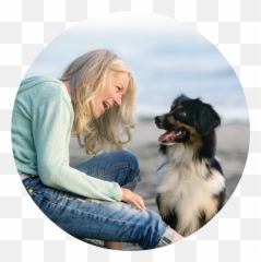 Home - The Puppy Care Company Australian Shepherd Png,Dog Sitting Png