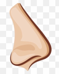 Nose Png Transparent Images - Png Images Of Nose,Nose Png