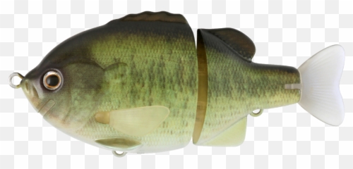 Deps Tiny Bull Shooter - Cypriniformes Png,Largemouth Bass Png