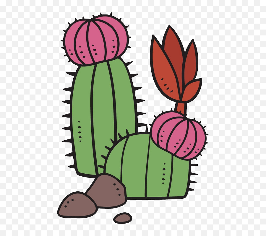 Succulent Plant Cartoon Cactaceae Clipart - Full Size Golden Barrel Cactus Drawing Png,Succulent Icon Transparent