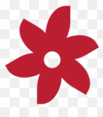 Contact - Floral Png,Poinsettia Icon Png
