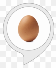 Amazoncom Egg Crack Alexa Skills - City Limits Saloon Png,Cracked Egg Png