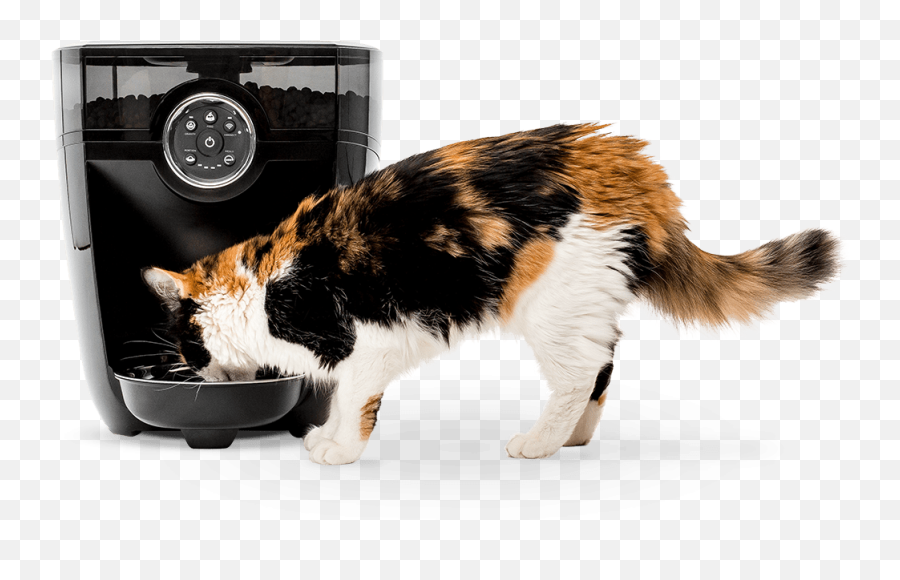 Timed Automatic Pet Feeder U0026 Food Dispenser Litter - Robot Automatic Cat Feeder Png,Cat Icon For Facebook