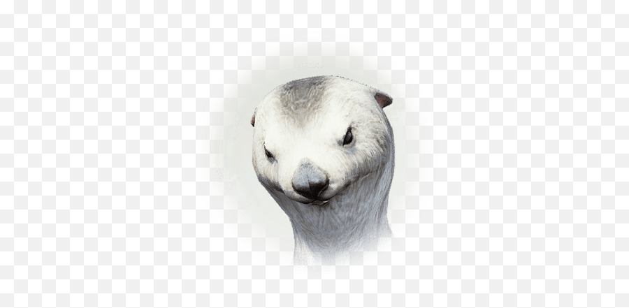 Bdo Orio Knowledge Database Guide Bddatabasenetus - Otter Bdo Png,Weasel Icon