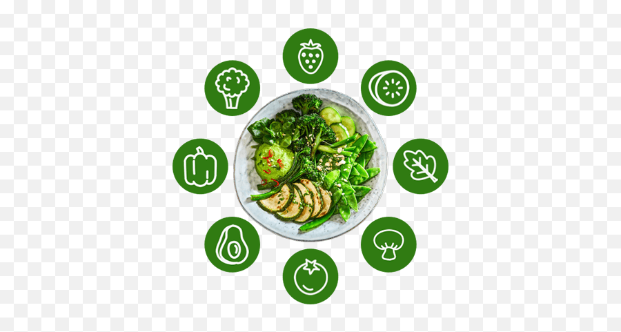 Whole Food Plant - Based Diet Guide Center For Nutrition Alimentacion Basada En Plantas Png,Food Pyramid Icon