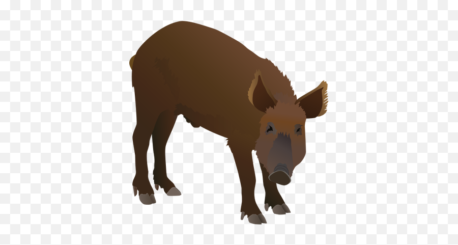 Drawn Boar Animation - Wild Boar Animation Reference Wild Boar Png,Boar Icon