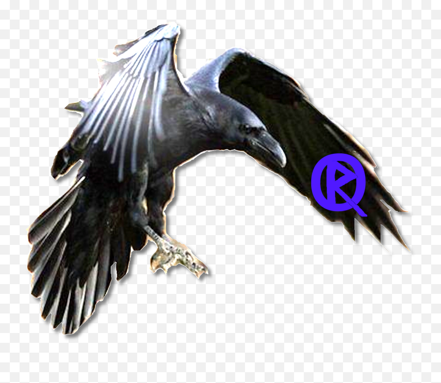 Rune Optimized - Brand Consulting Brand Management Brand Build Raven Png,Rune Png