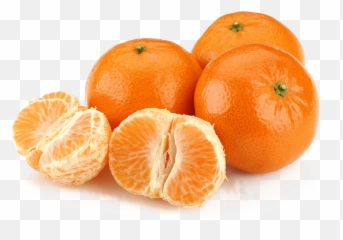Clementine Png 8 Image - Transparent Png Image Clementine Png,Clementine Png