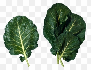 Green Salad Png Image - Mustard Greens Vs Collard