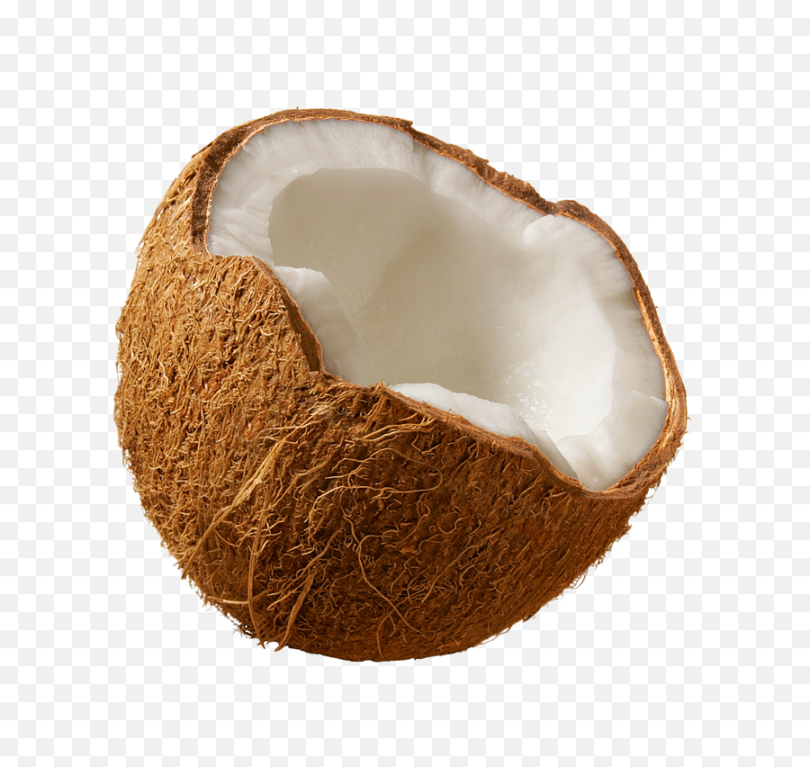 Download Coconuts Png Image For Free - Coconut Png,Coconut Png