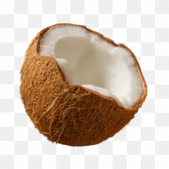 Download Coconuts Png Image For Free - Coconut Png,Coconut Png